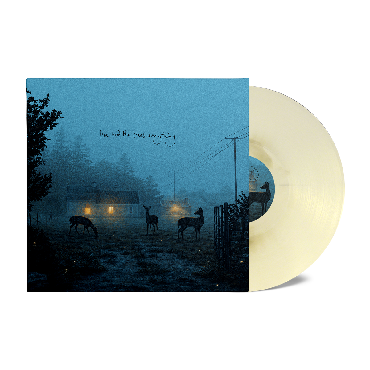 Dermot Kennedy - I've told the trees everything: Limited Edition Marble Vinyl