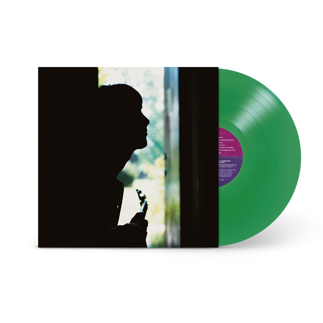 英LP Paul Weller Wild Wood 8285131 GO DISCS /00400 LP/GF PAUL WELLER Wild Wood 8285131 GO DISCS UK OBI | eBay