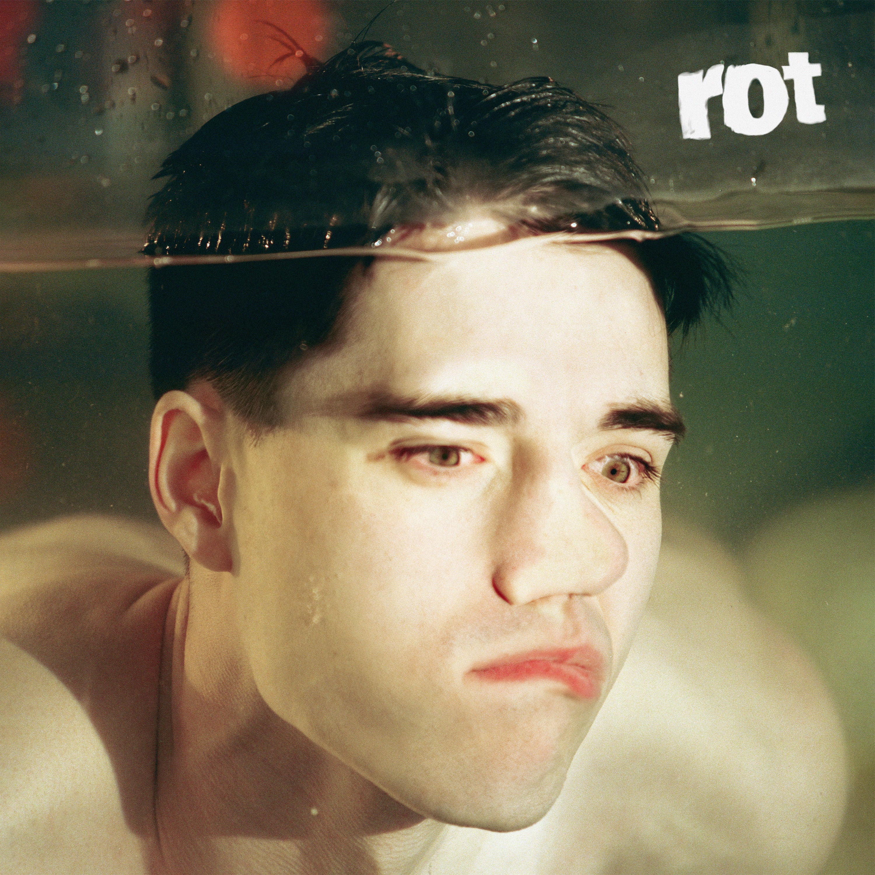 Rot: Vinyl LP