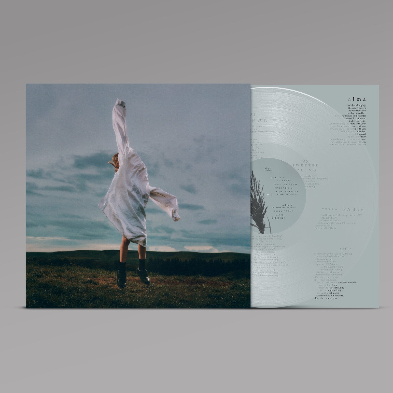 Deary - Birding: Transparent Pale Blue Vinyl LP
