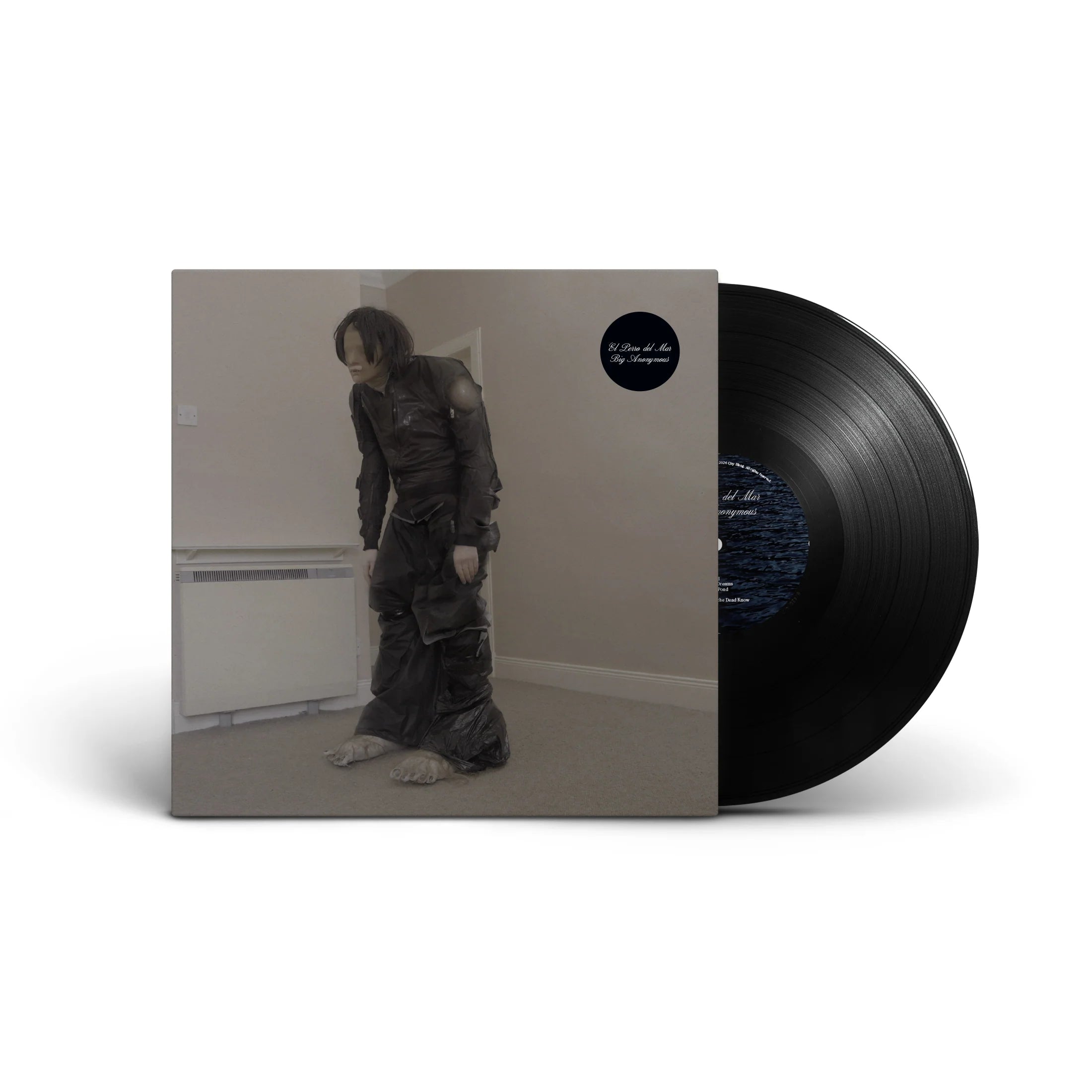 El Perro del Mar - Big Anonymous: Vinyl LP