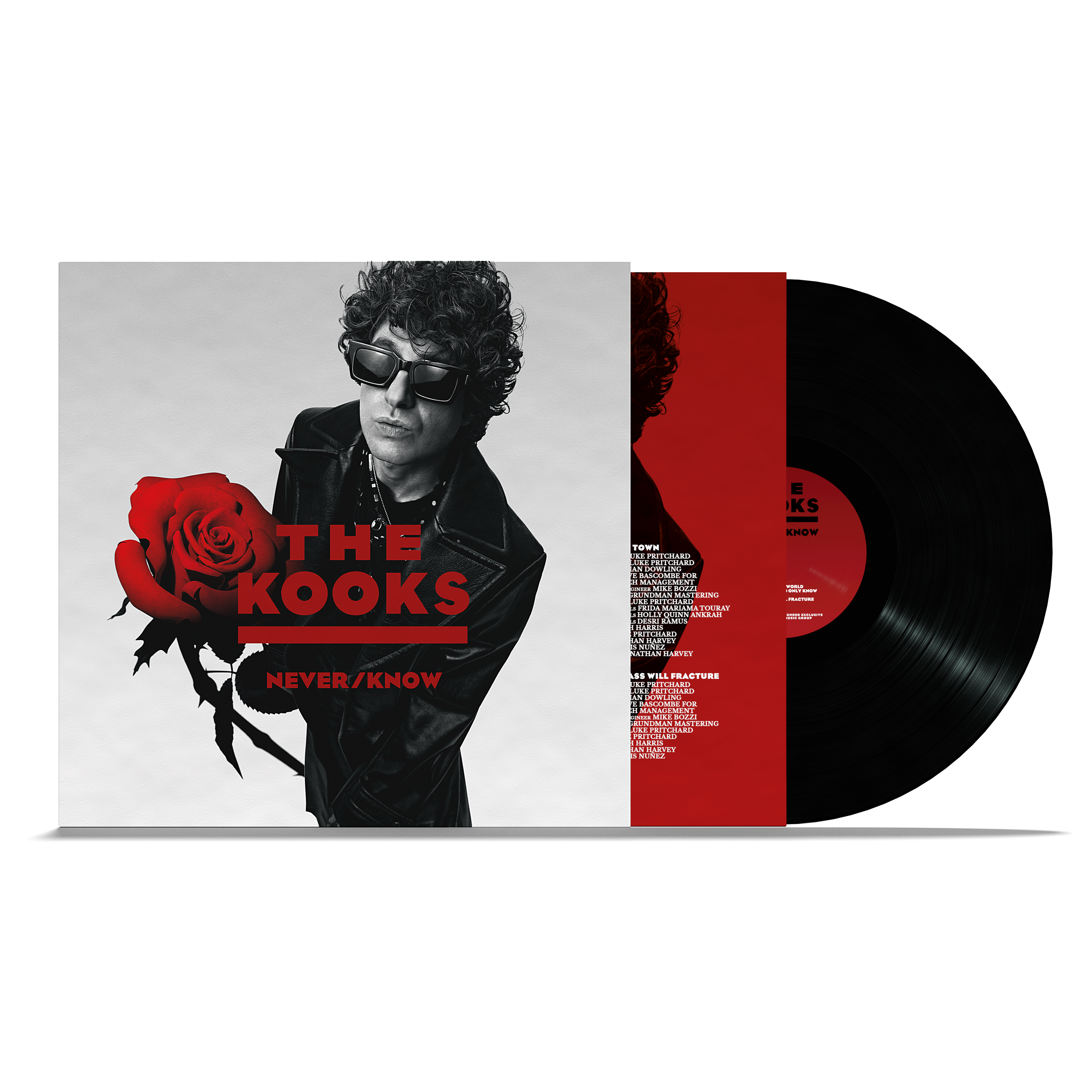 The Kooks - Never/Know: Black Vinyl LP