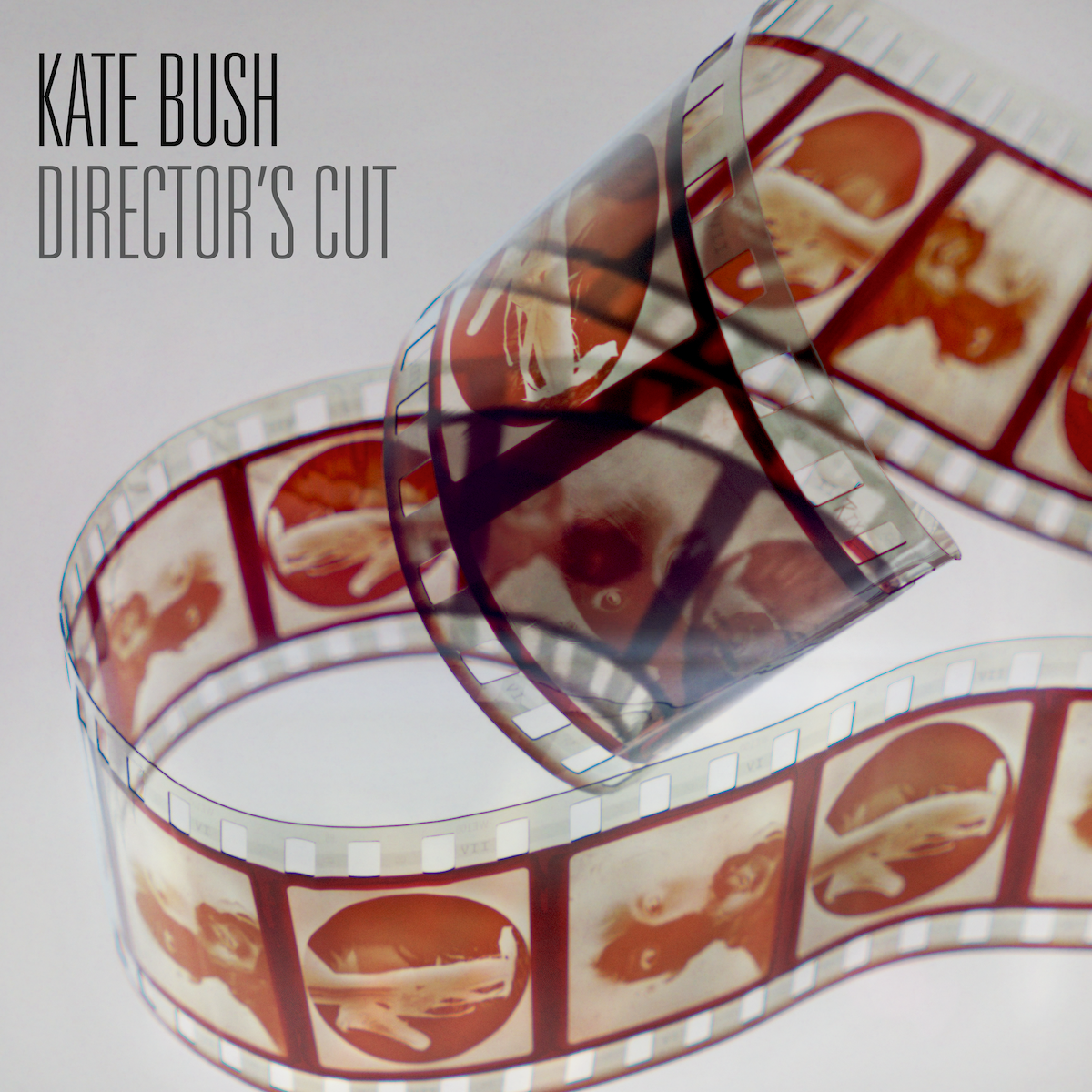 Kate Bush - Director's Cut (2018 Remaster): Vinyl 2LP