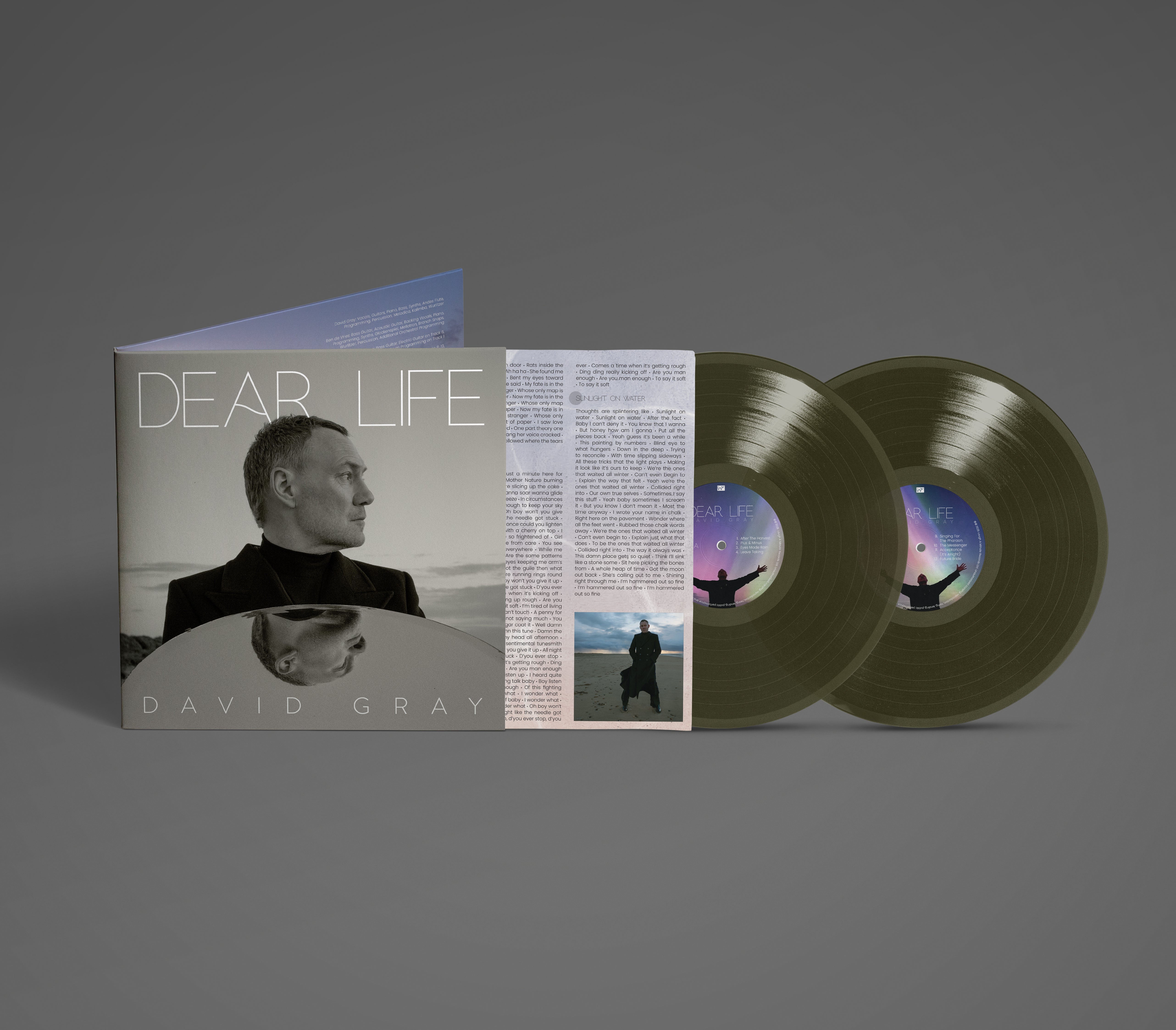 David Gray - Dear Life: Limited 'Seaweed' Green Vinyl 2LP