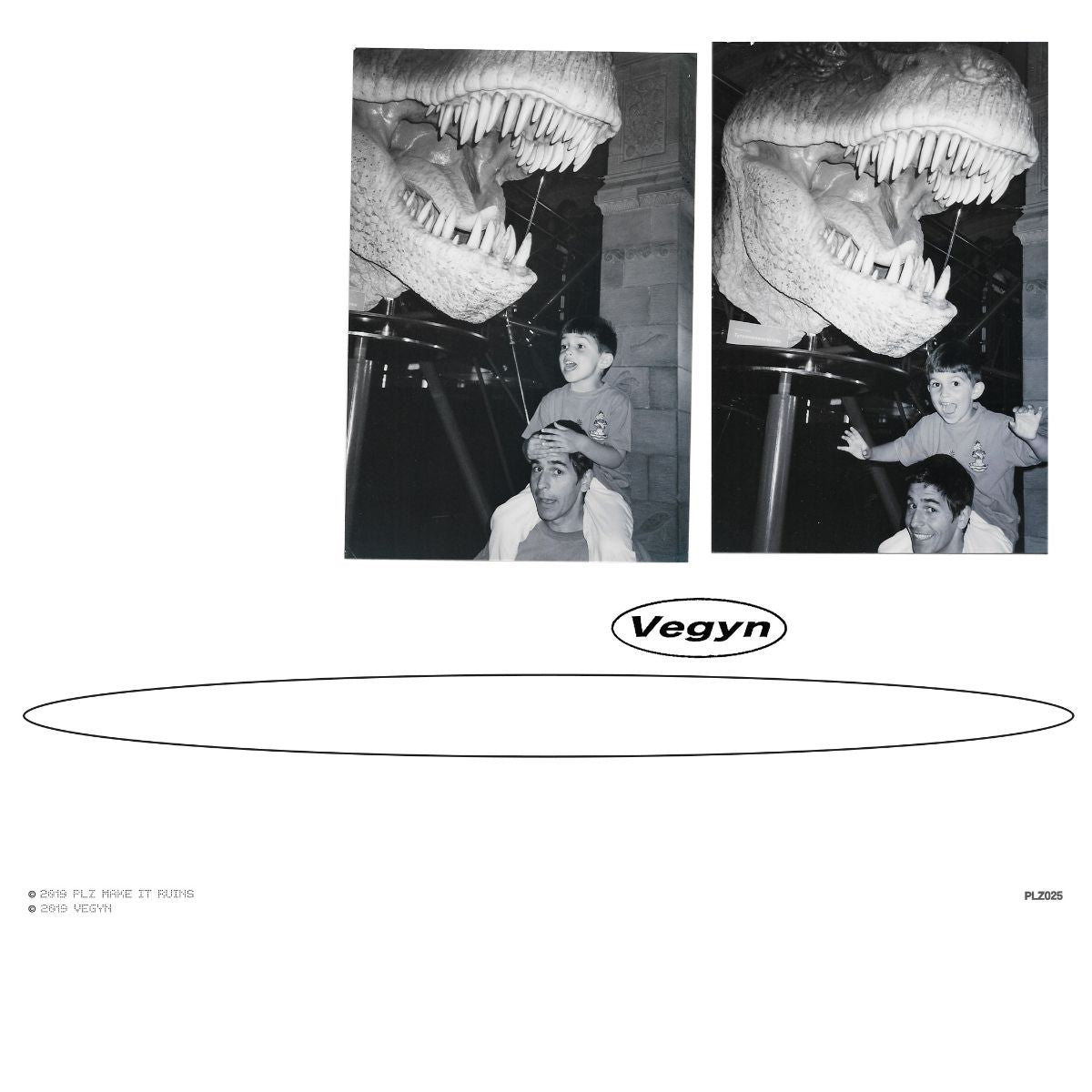 Vegyn - Only Diamonds Cut Diamonds (5 Year Anniversary Repress): Vinyl 2LP