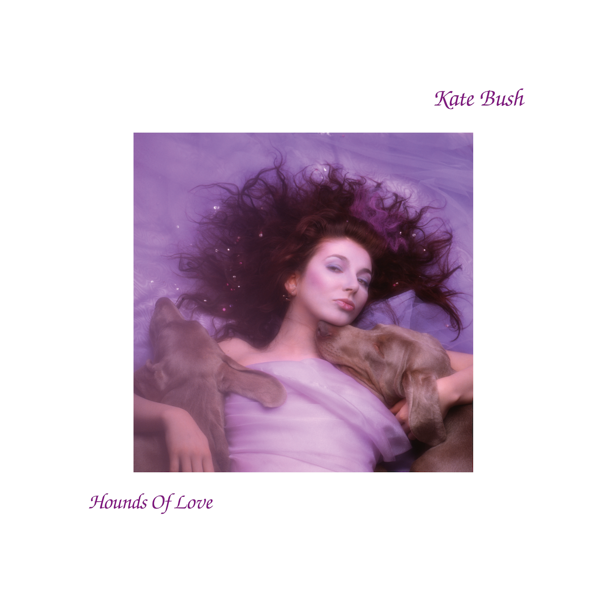 Kate Bush - Hounds of Love (2018 Remaster): Vinyl LP