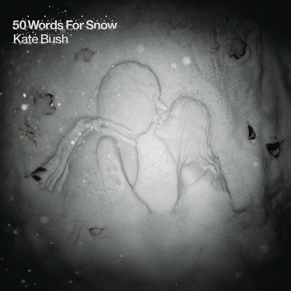 Kate Bush -  50 Words For Snow (2018 Remaster): Vinyl 2LP