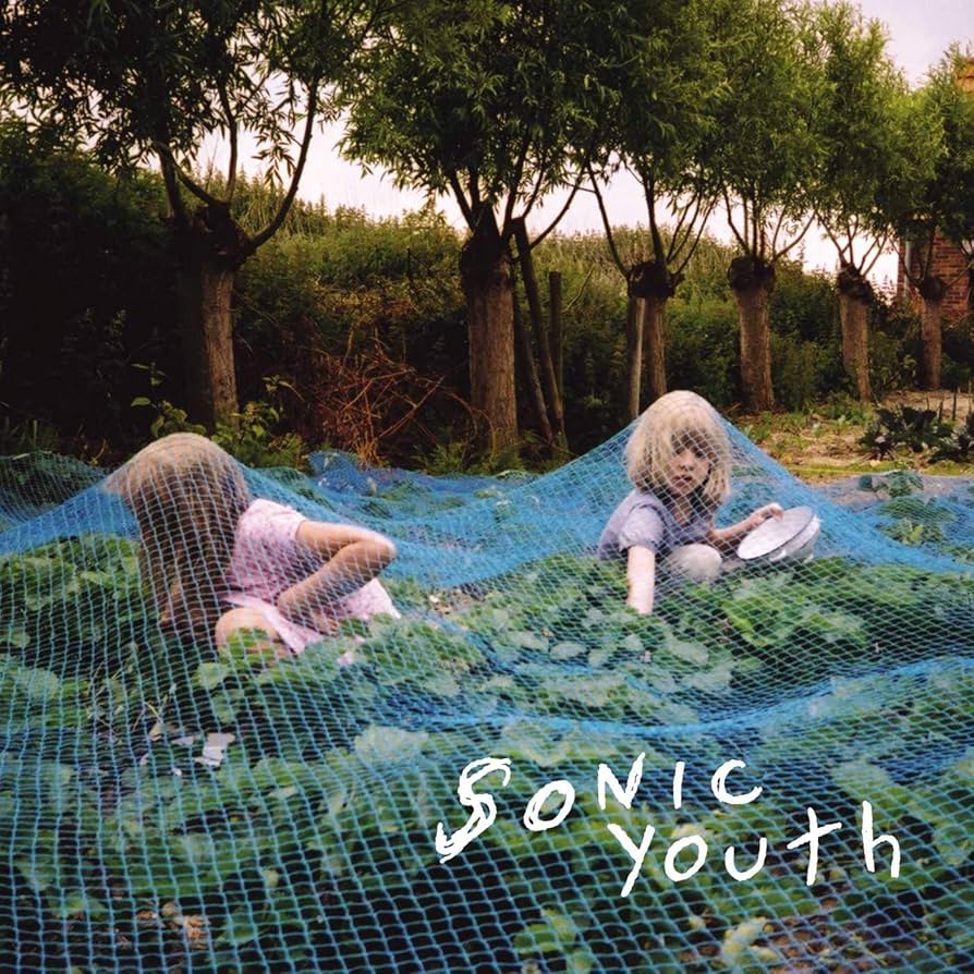 Sonic Youth - Murray Street: Vinyl LP