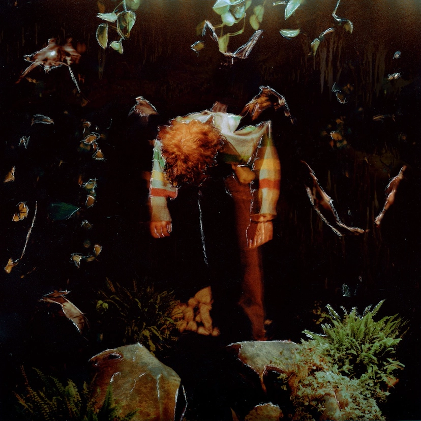 Cavetown - Wormfood: Limited Edition Vinyl LP