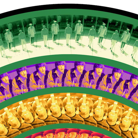 Pet Sounds Exclusive Zoetrope Vinyl LP