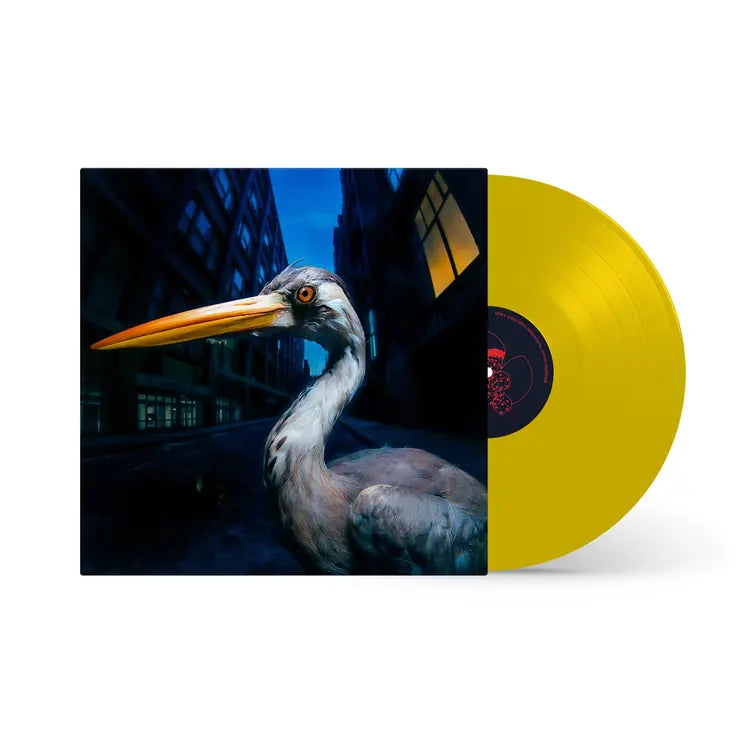 Antony Szmierek - Decoding Birdsong: Beak Yellow Vinyl LP