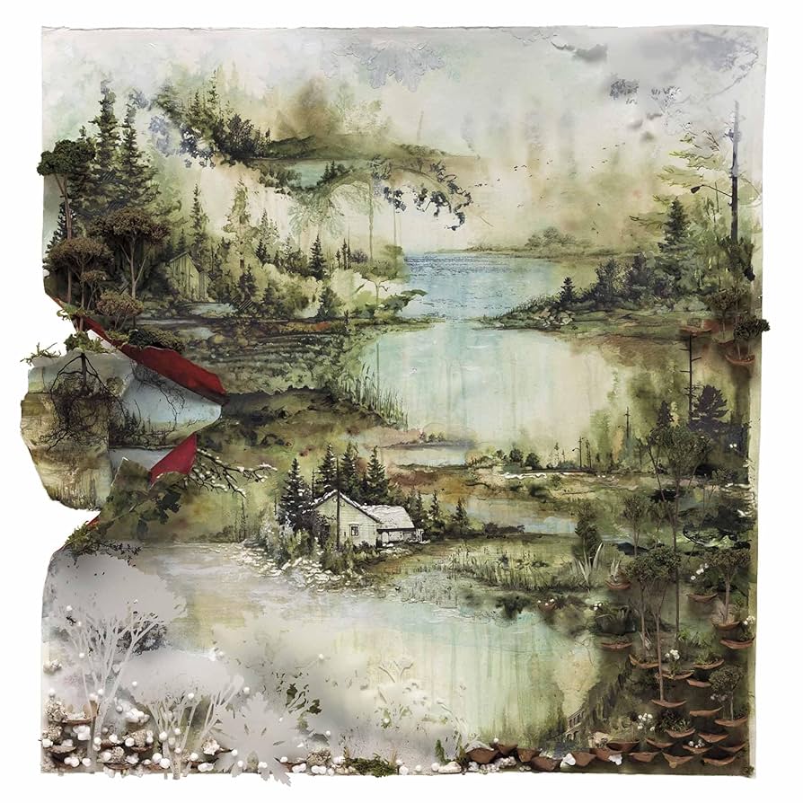 Bon Iver - Bon Iver, Bon Iver: Vinyl LP