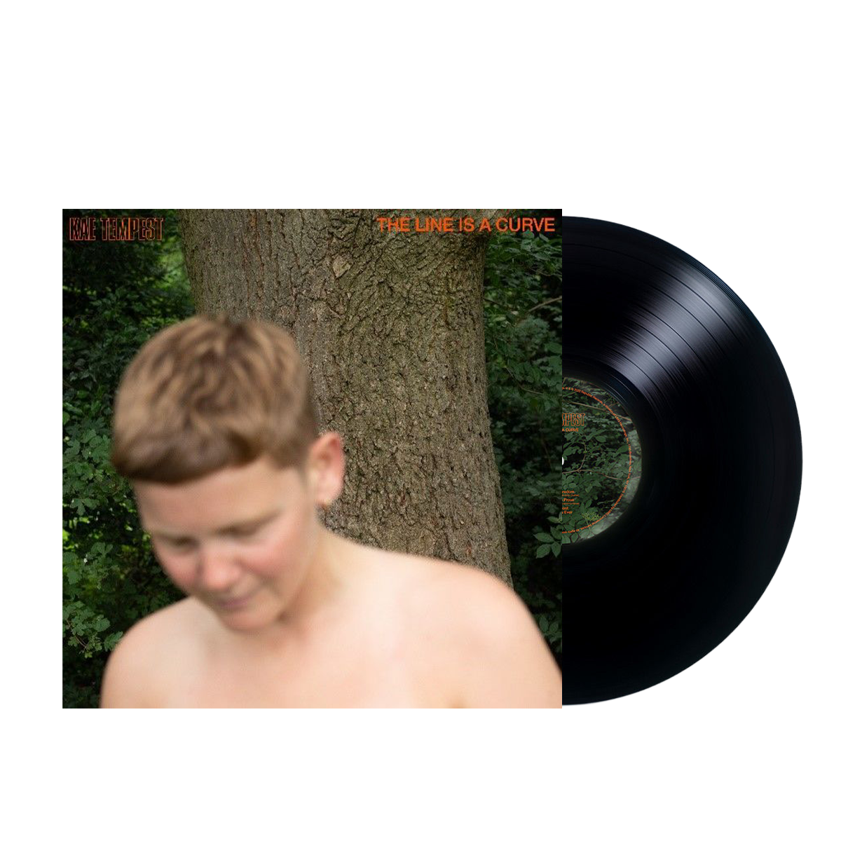 Kae Tempest - The Line Is A Curve: Vinyl LP