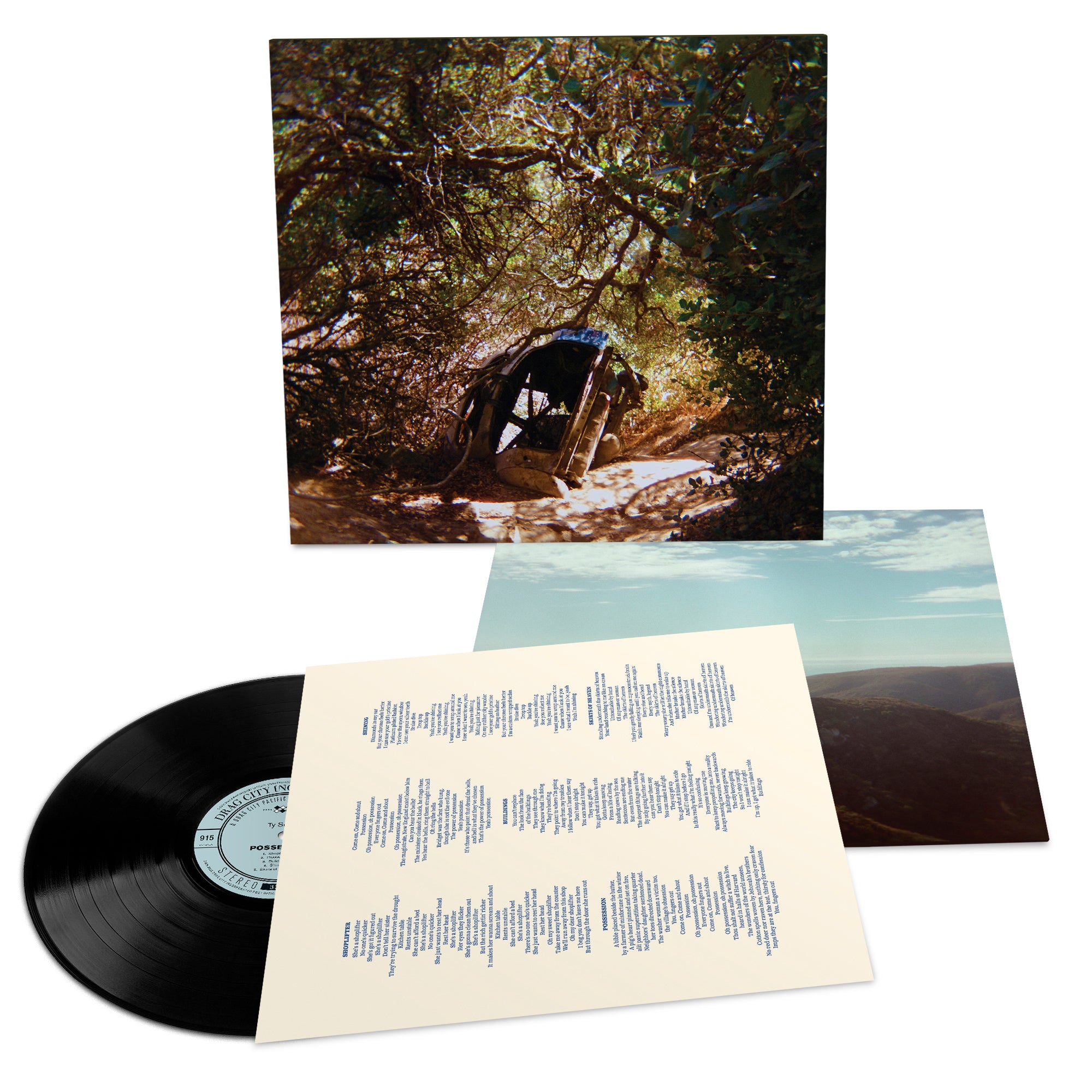 Ty Segall - Possession: Black Vinyl LP