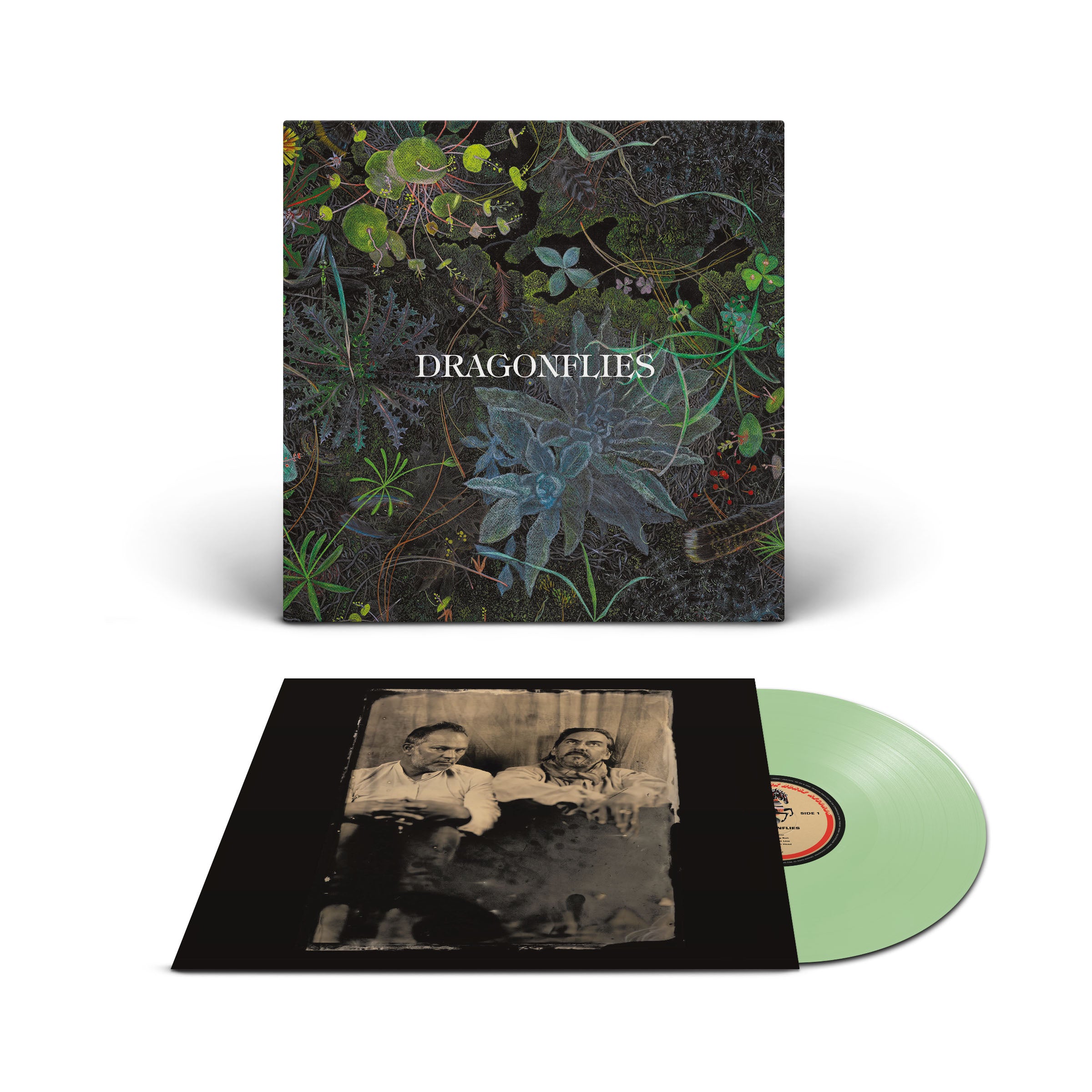 The Dragonflies - Dragonflies: Coke Bottle Clear Vinyl LP