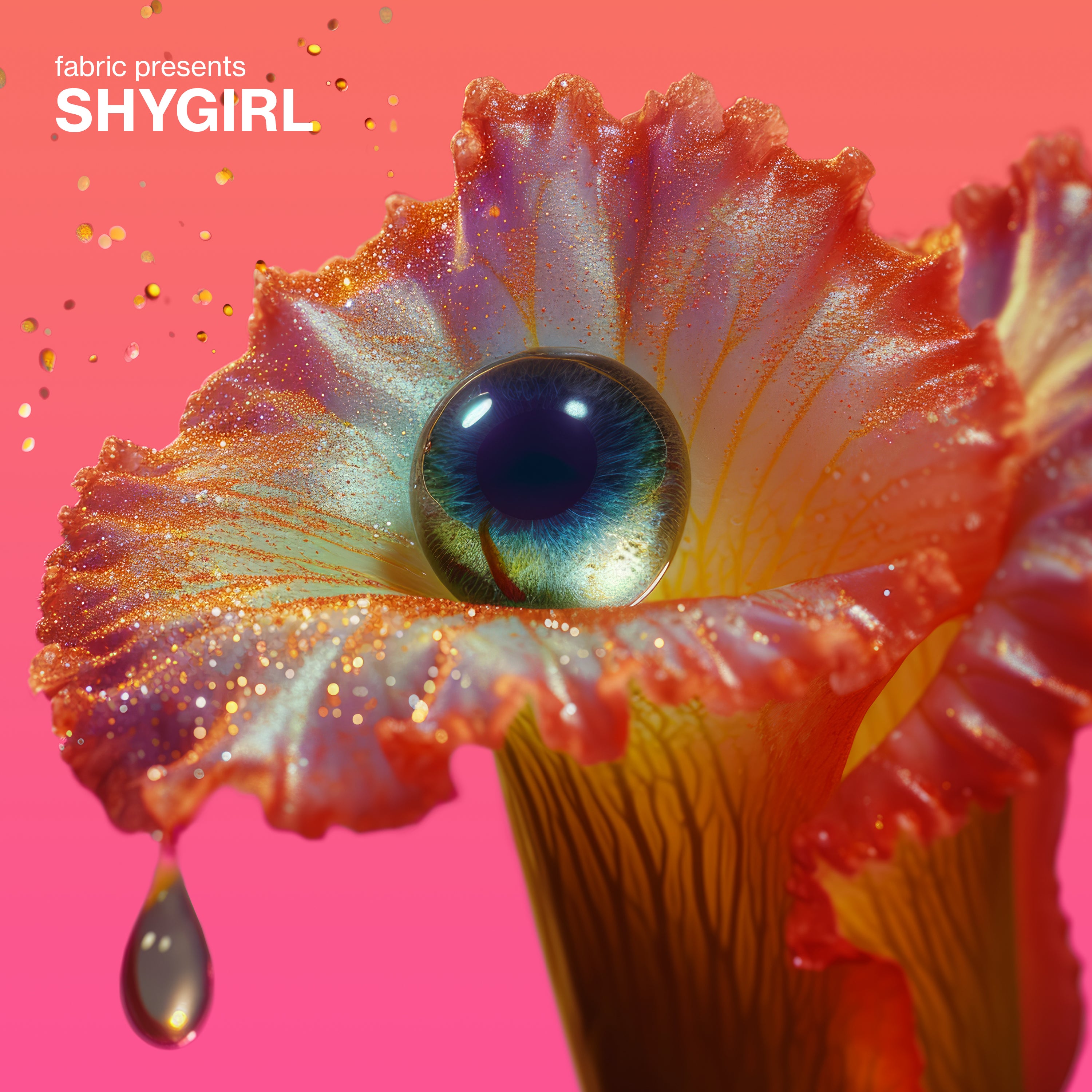 Shygirl - fabric presents Shygirl: Vinyl 2LP