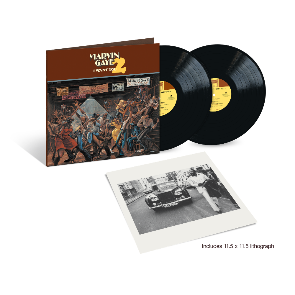 Marvin Gaye - I Want You 2: Vinyl 2LP