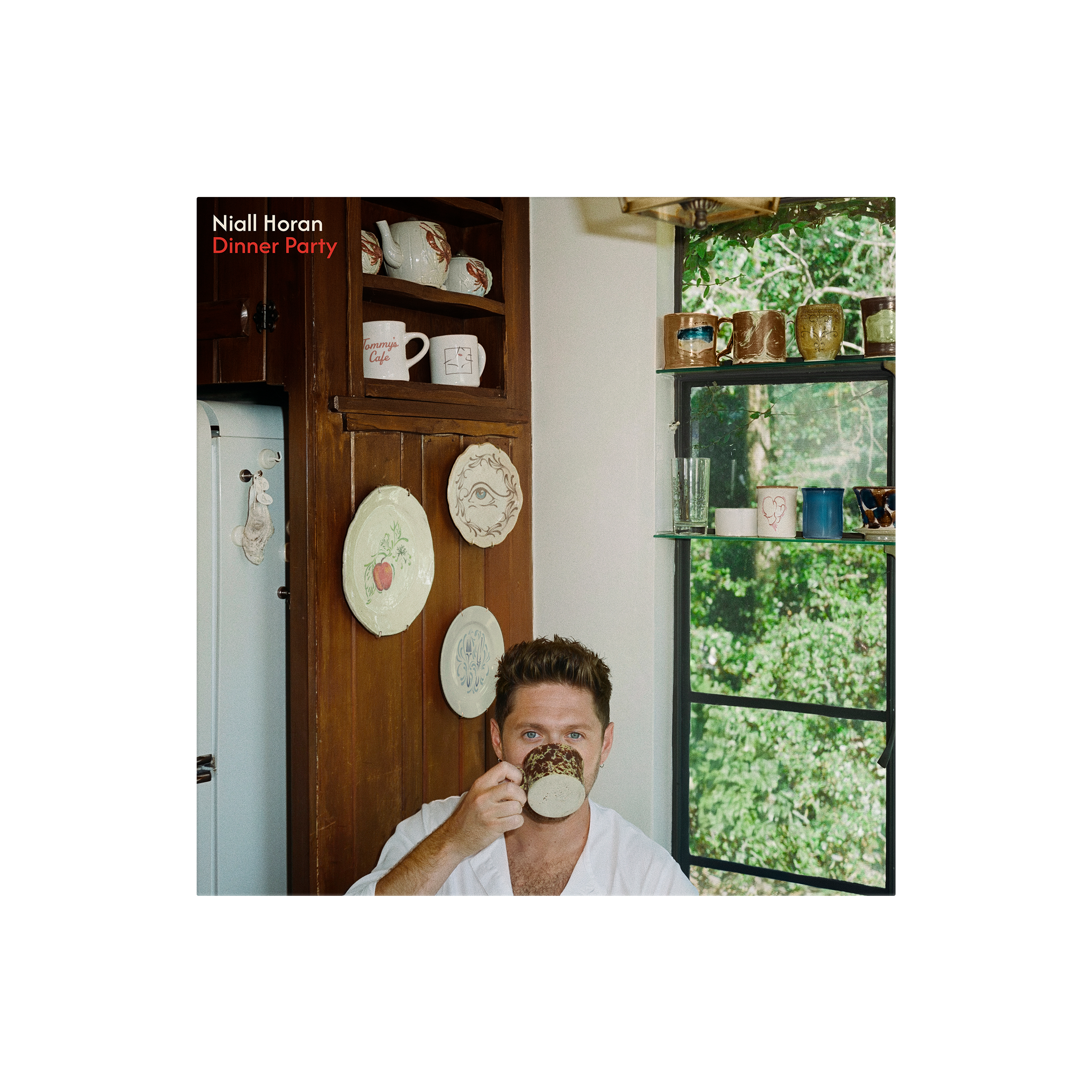 Niall Horan - Dinner Party - Porcelain Vinyl