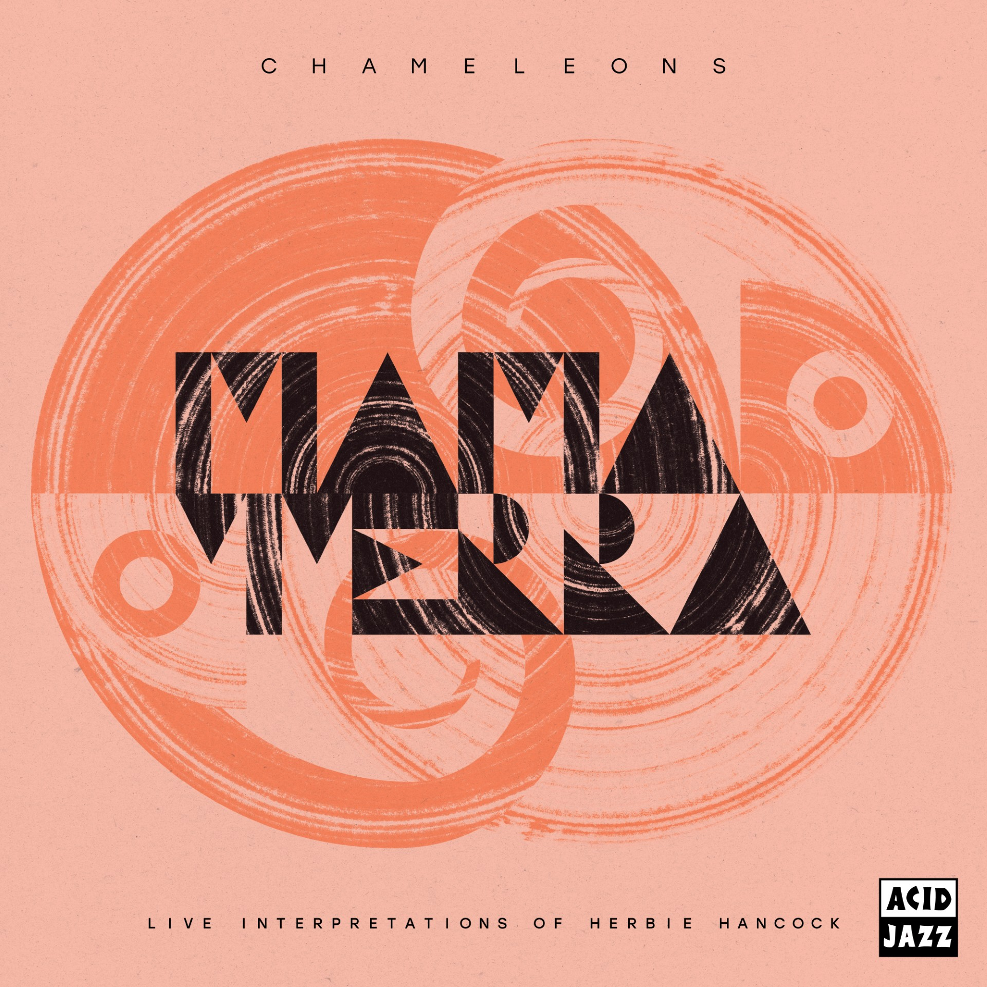 Mama Terra - Chameleons - Live Interpretations Of Herbie Hancock: Vinyl LP