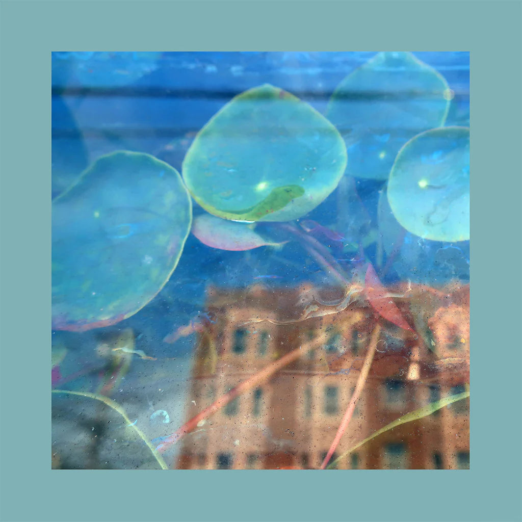 The Reds, Pinks and Purples - Acknowledge Kindness: CD