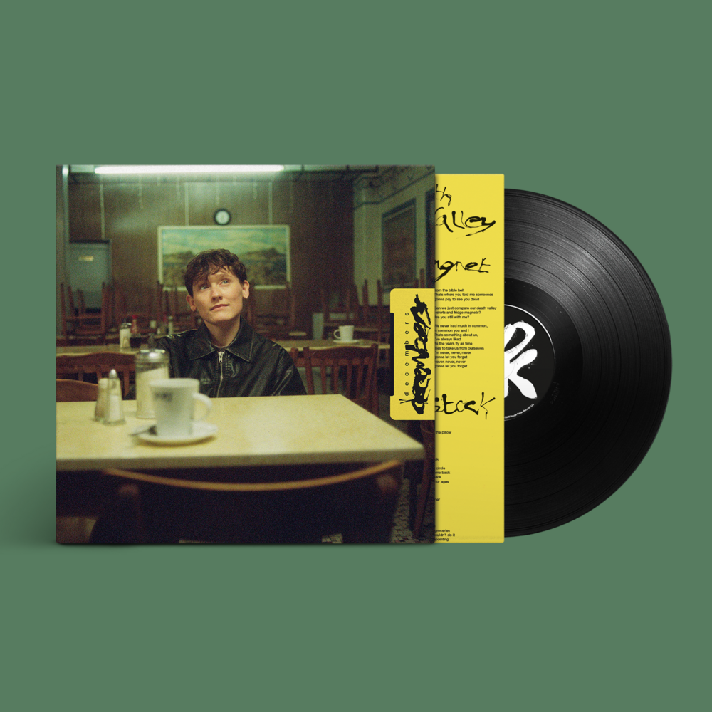 SOAK - decembers: Vinyl LP