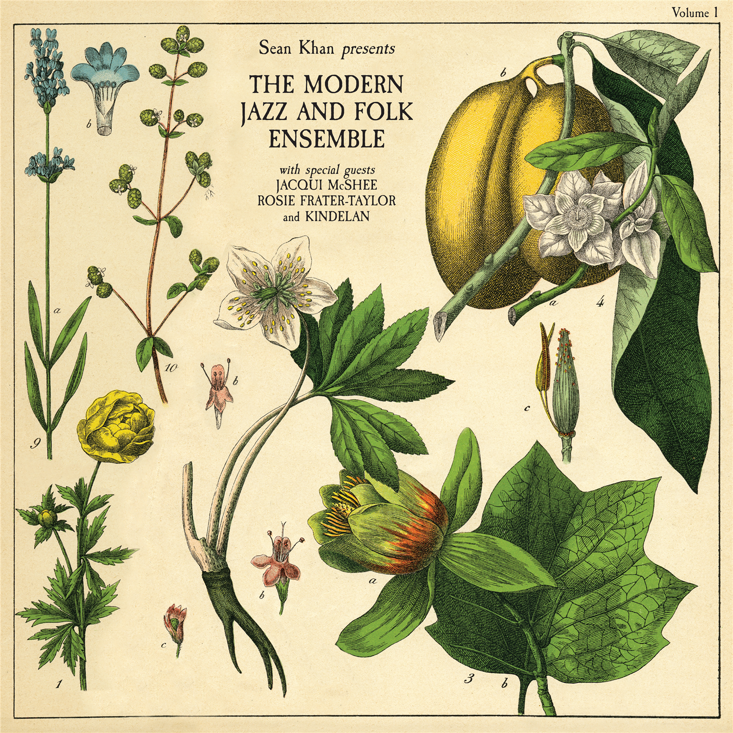 Sean Khan & The Modern Jazz & Folk Ensemble - Sean Khan Presents The Modern Folk & Jazz Ensemble: Vinyl LP