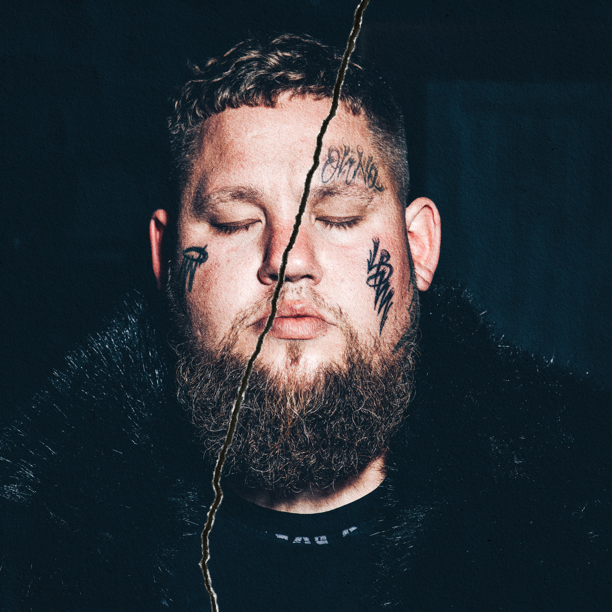 Rag 'N' Bone Man - Life By Misadventure: 180gm Vinyl 2LP