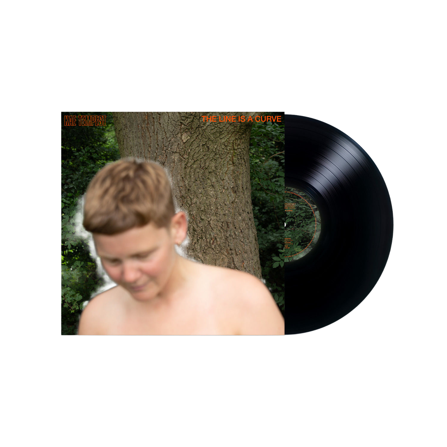 Kae Tempest - The Line Is A Curve: Vinyl LP