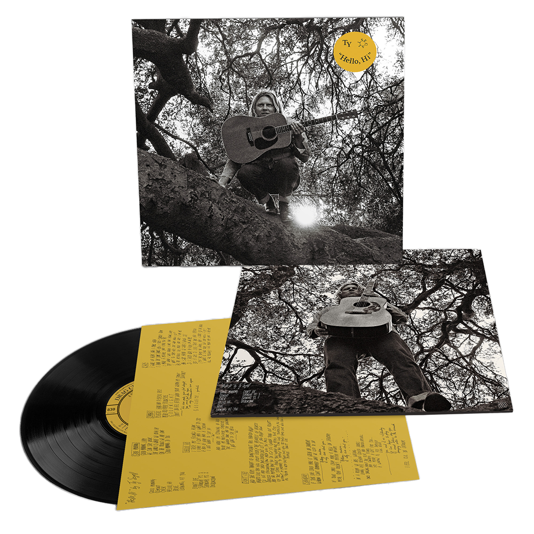 Ty Segall - Hello, Hi: Limited Edition Vinyl LP