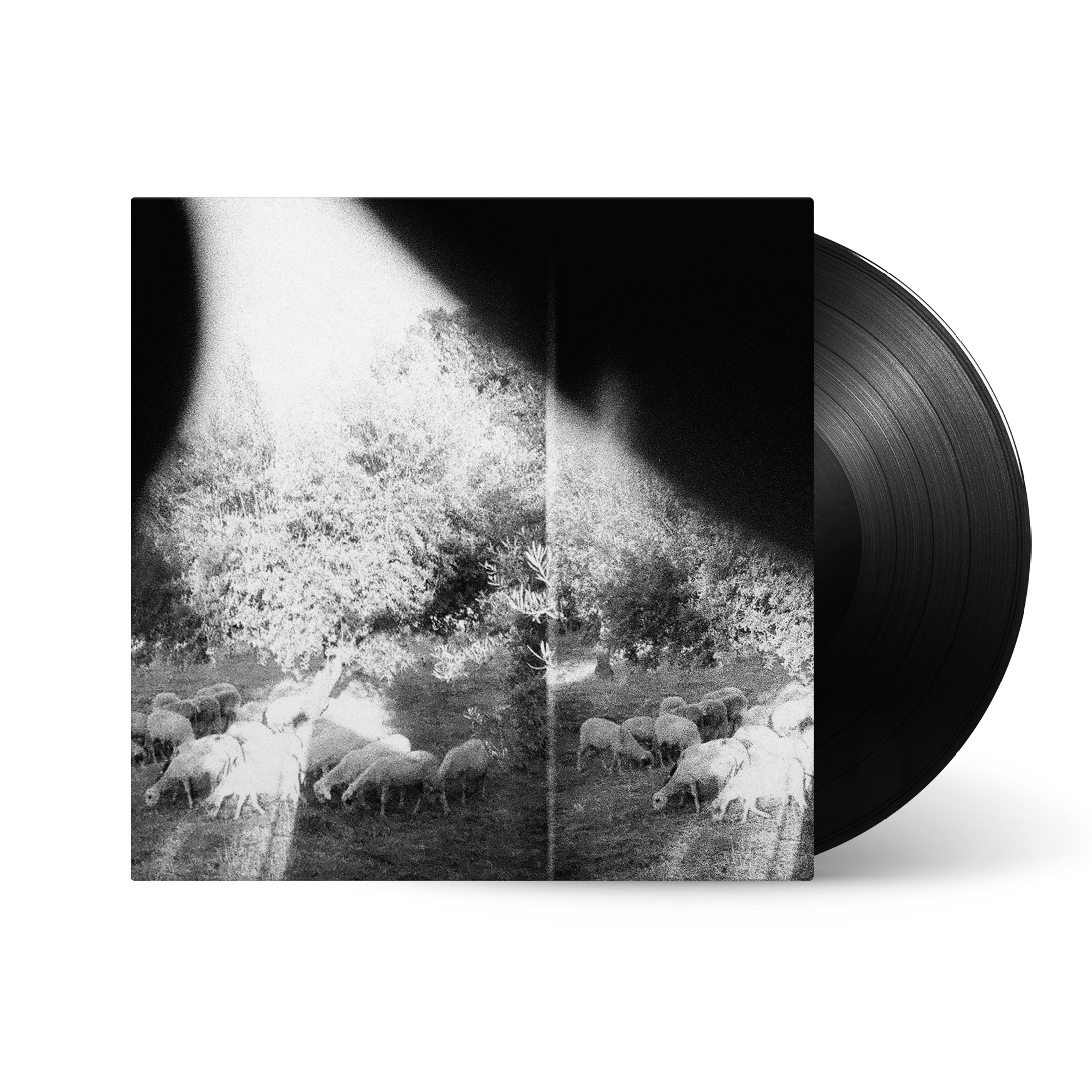 Godspeed You! Black Emperor - Asunder, Sweet And Other Distress: Vinyl LP