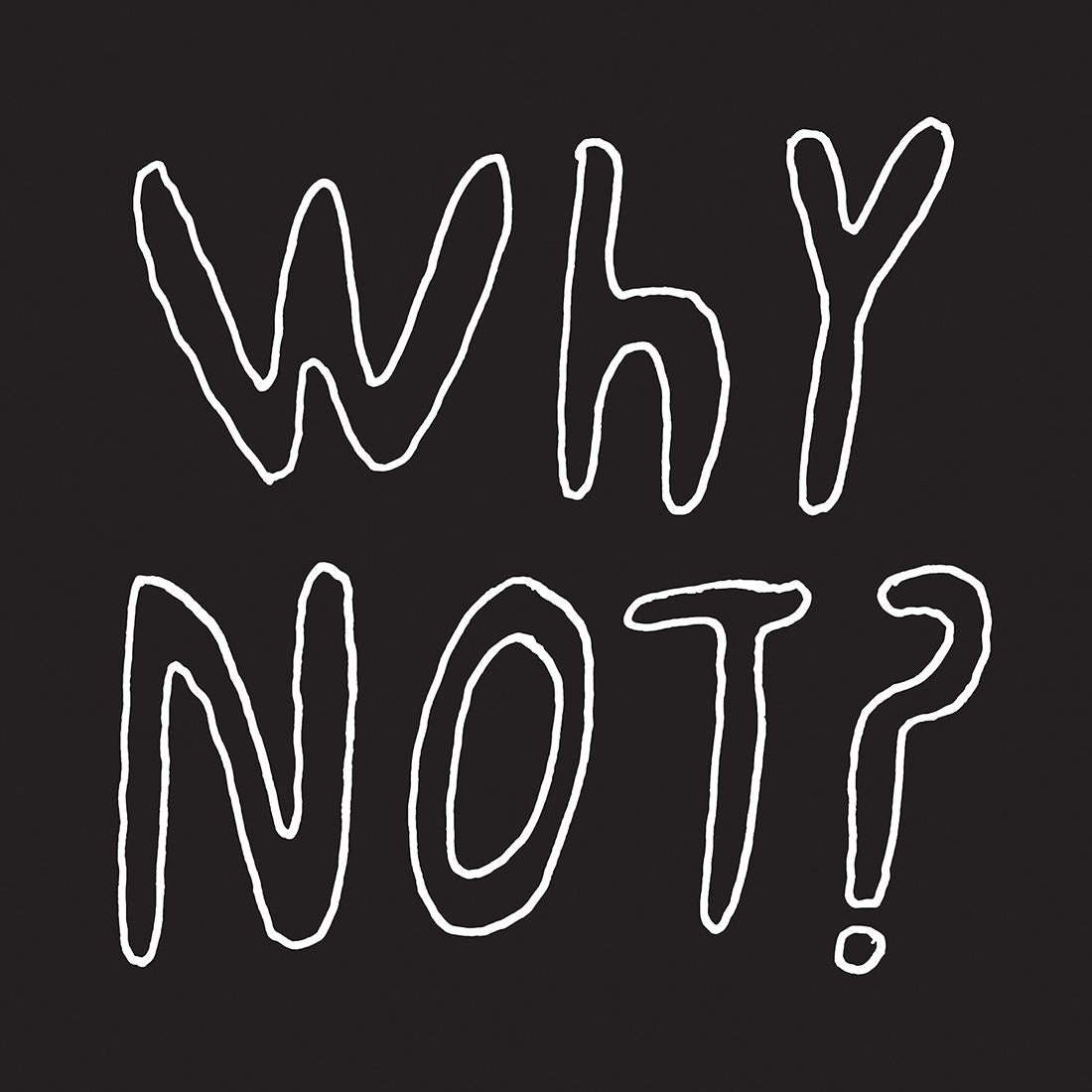 Half Japanese - Why Not?: Vinyl LP