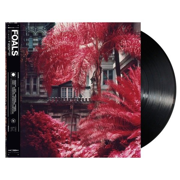 Foals - Everything Not Saved Will Be Lost, Part 1: Vinyl LP