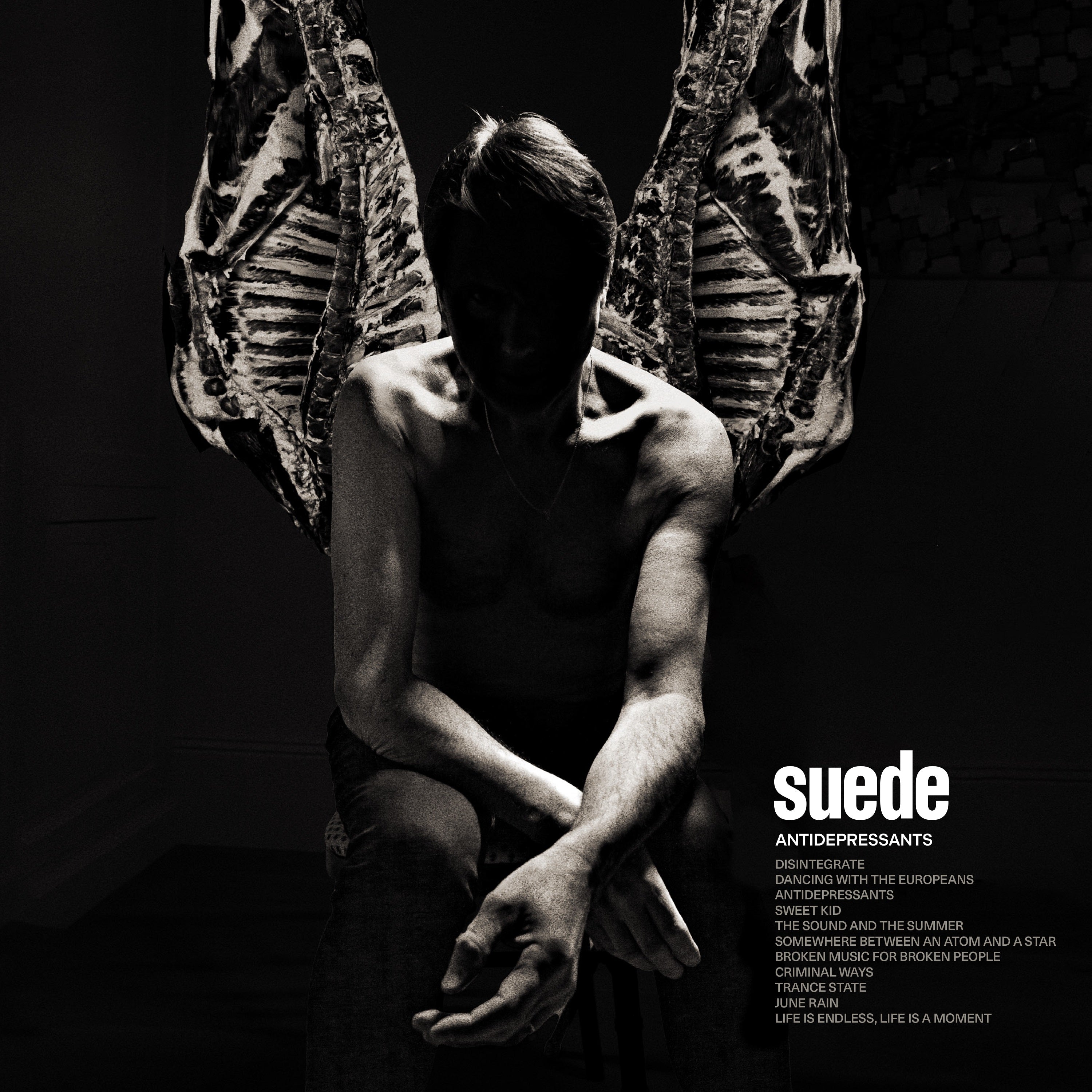 Suede - Antidepressants: Exclusive Signed Print