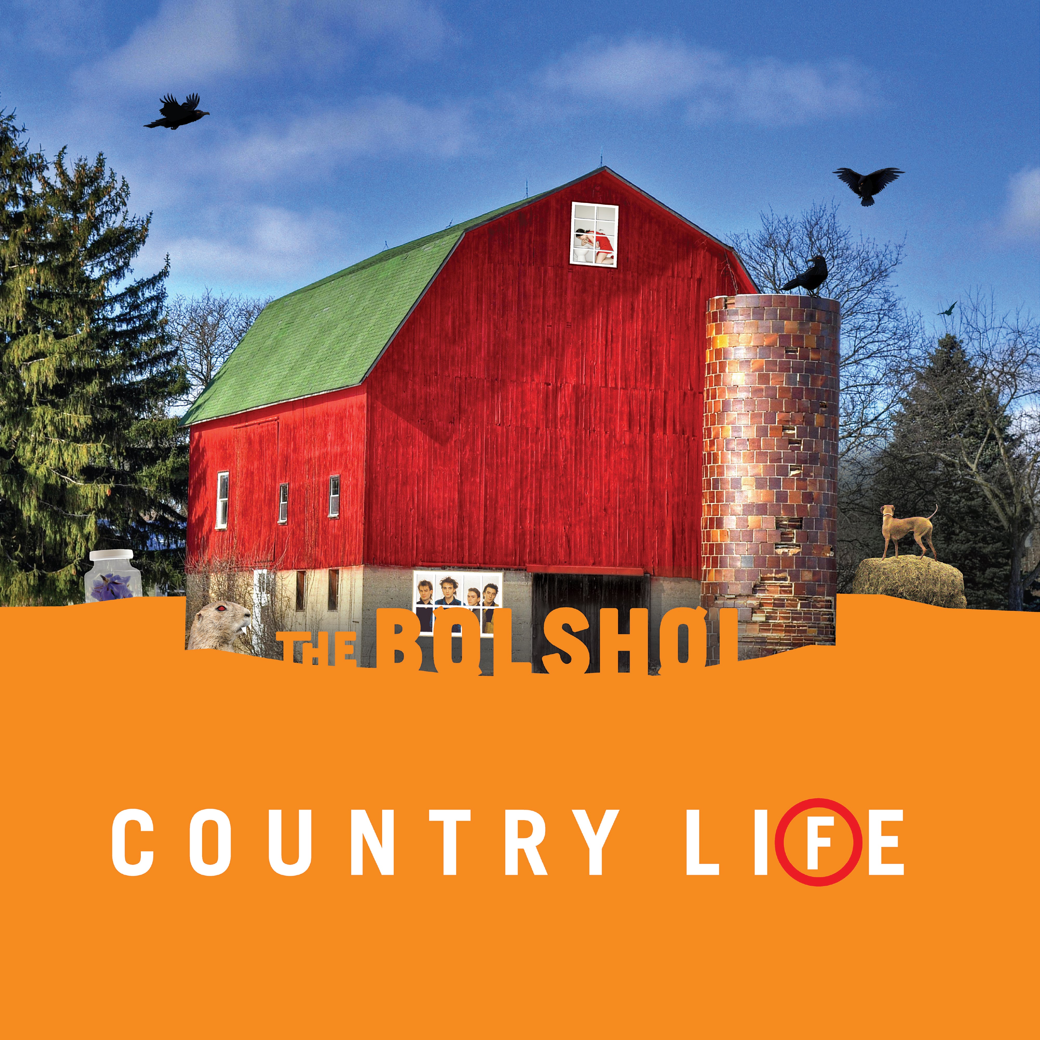 The Bolshoi - Country Life: Orange & Green Vinyl 2LP