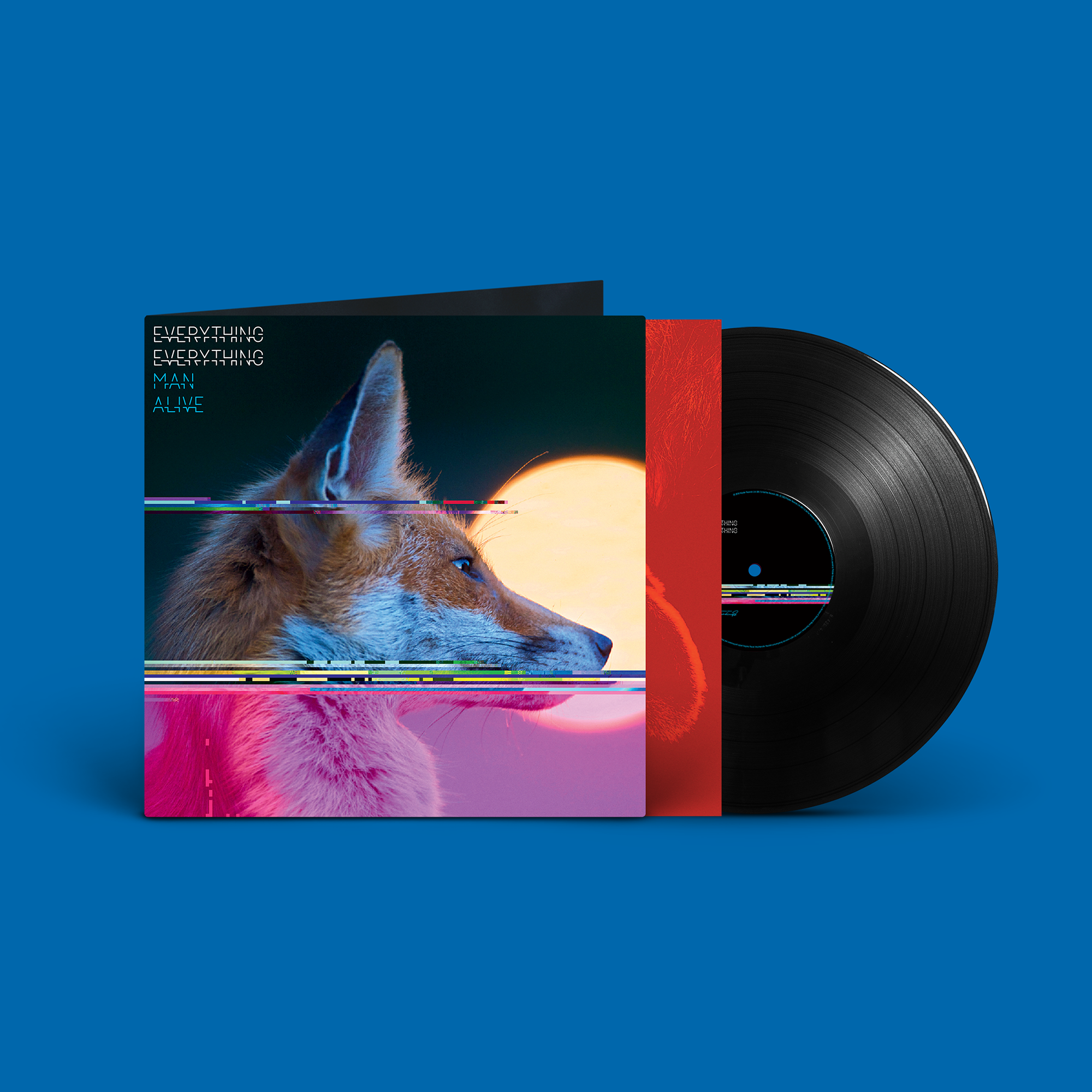 Everything Everything - Man Alive: Vinyl LP