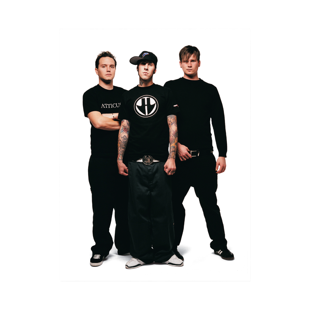 Blink 182 - Take Off Your Pants and Jacket (25 year Anniversary Edition): 2LP