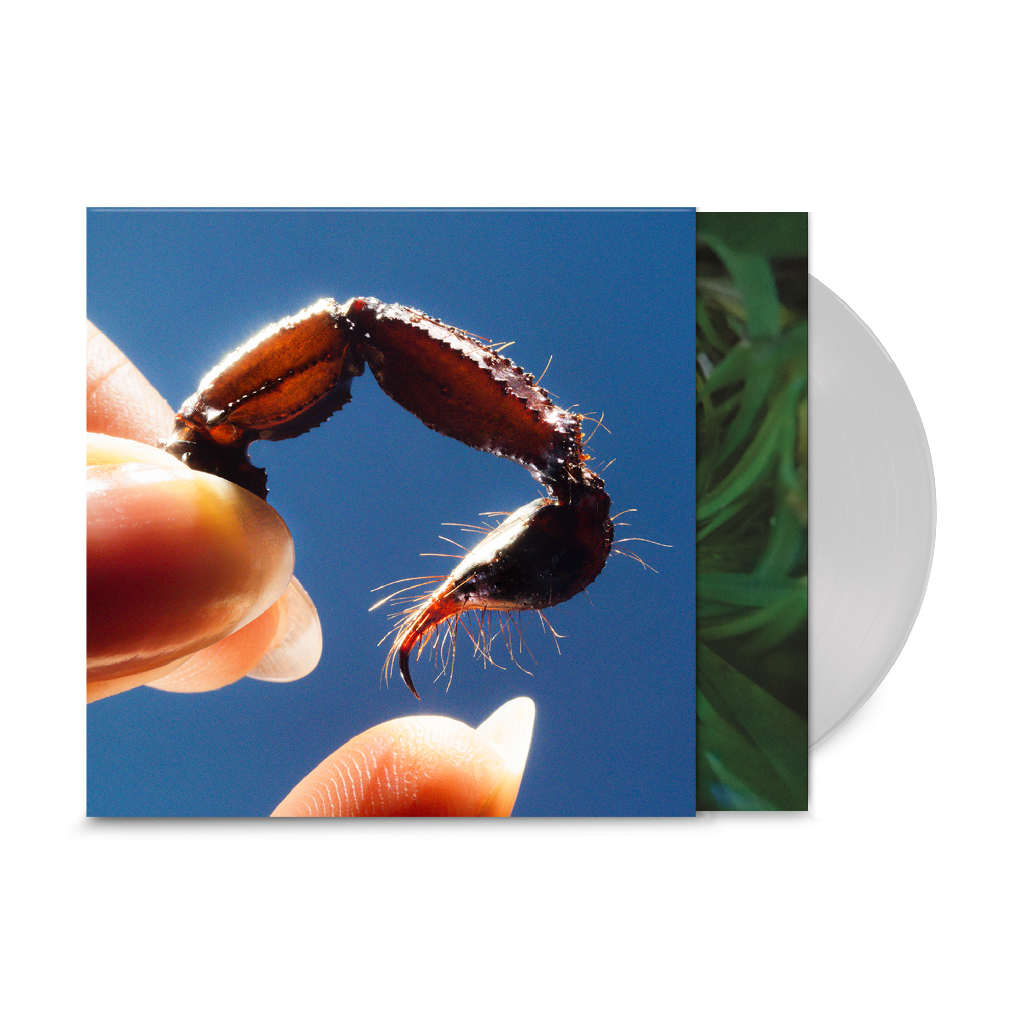 Squid - Cowards: Limited Edition Clear Vinyl LP