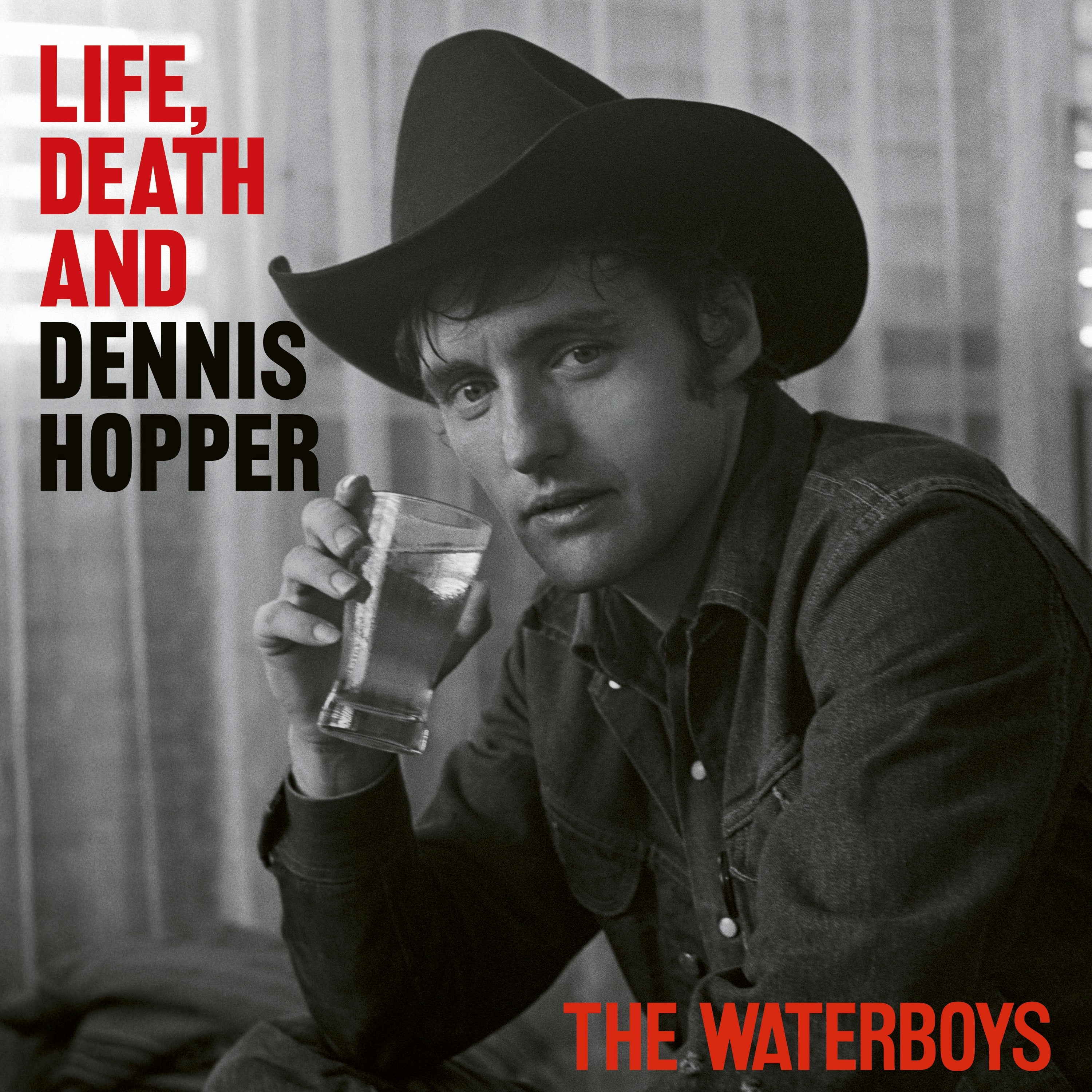 Life, Death and Dennis Hopper: Limited Psychedelic Waves Vinyl 2LP & Signed Print