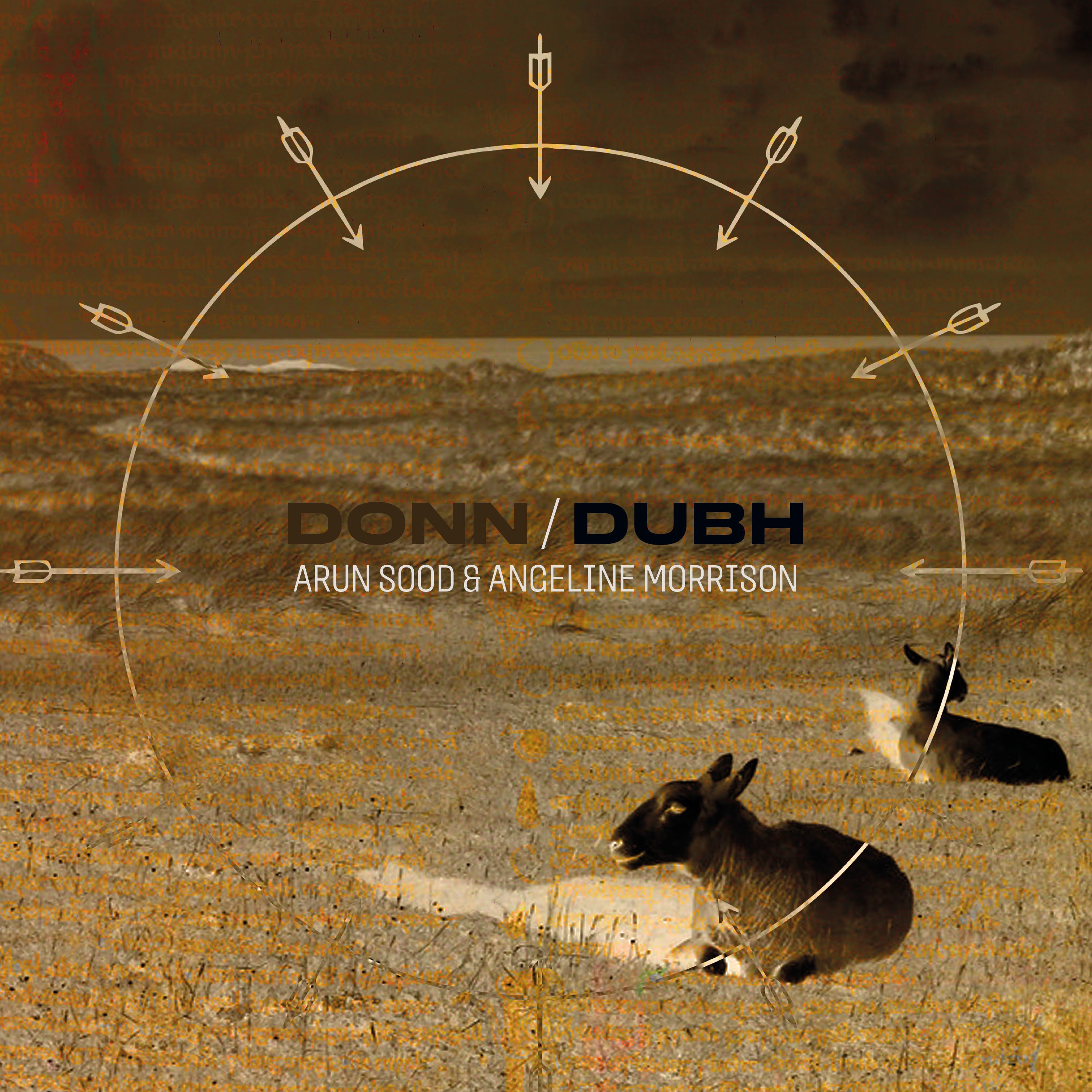Arun Sood|Angeline Morrison - Donn/Dubh: Earth Brown Vinyl LP