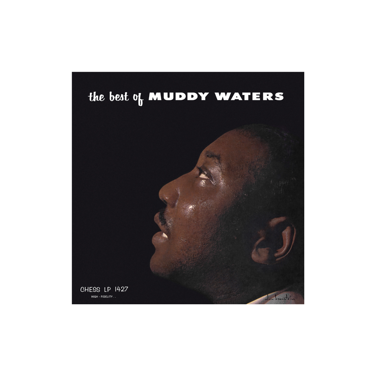 Muddy Waters - The Best of Muddy Waters - Vinyl