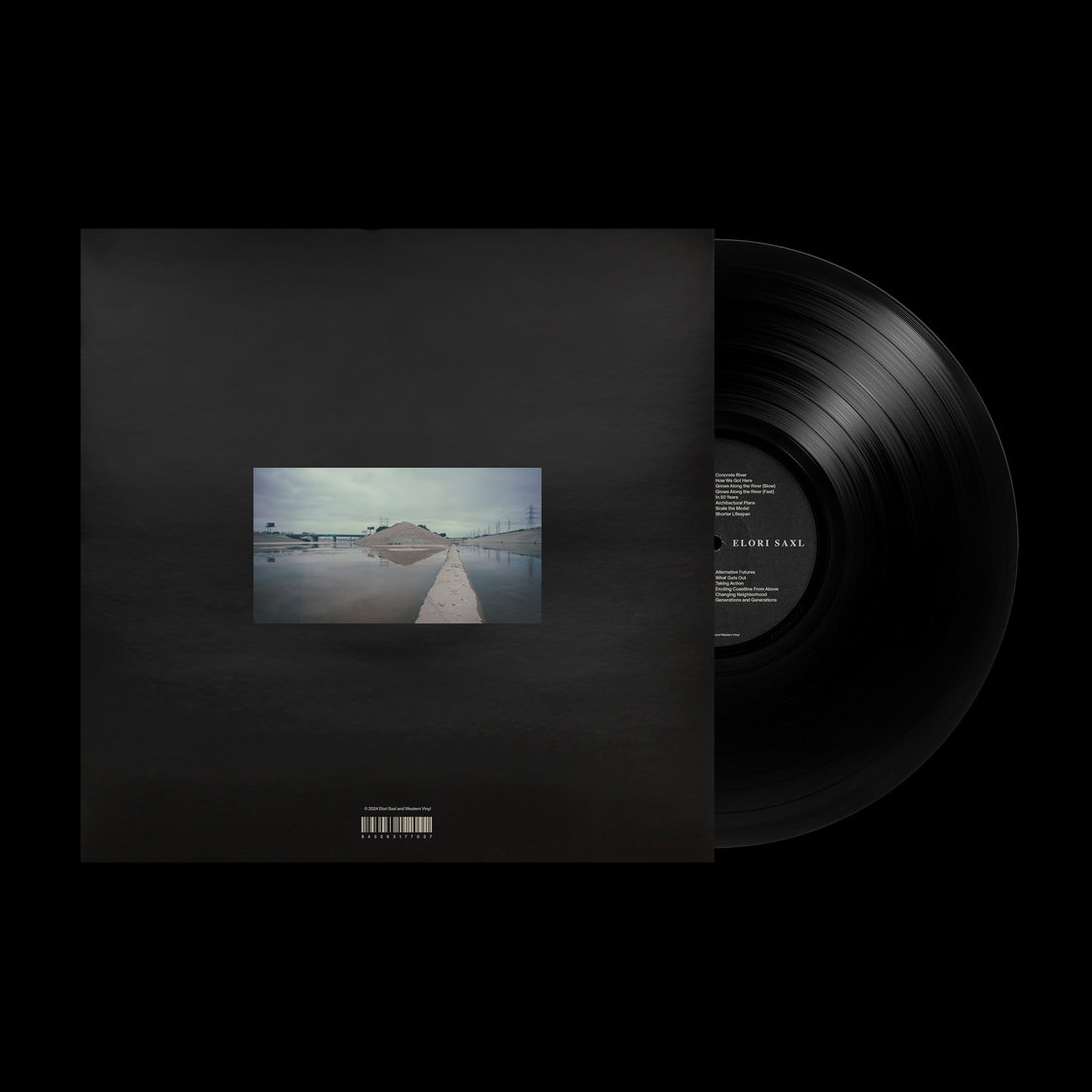 Elori Saxl - Earth Focus: Vinyl LP