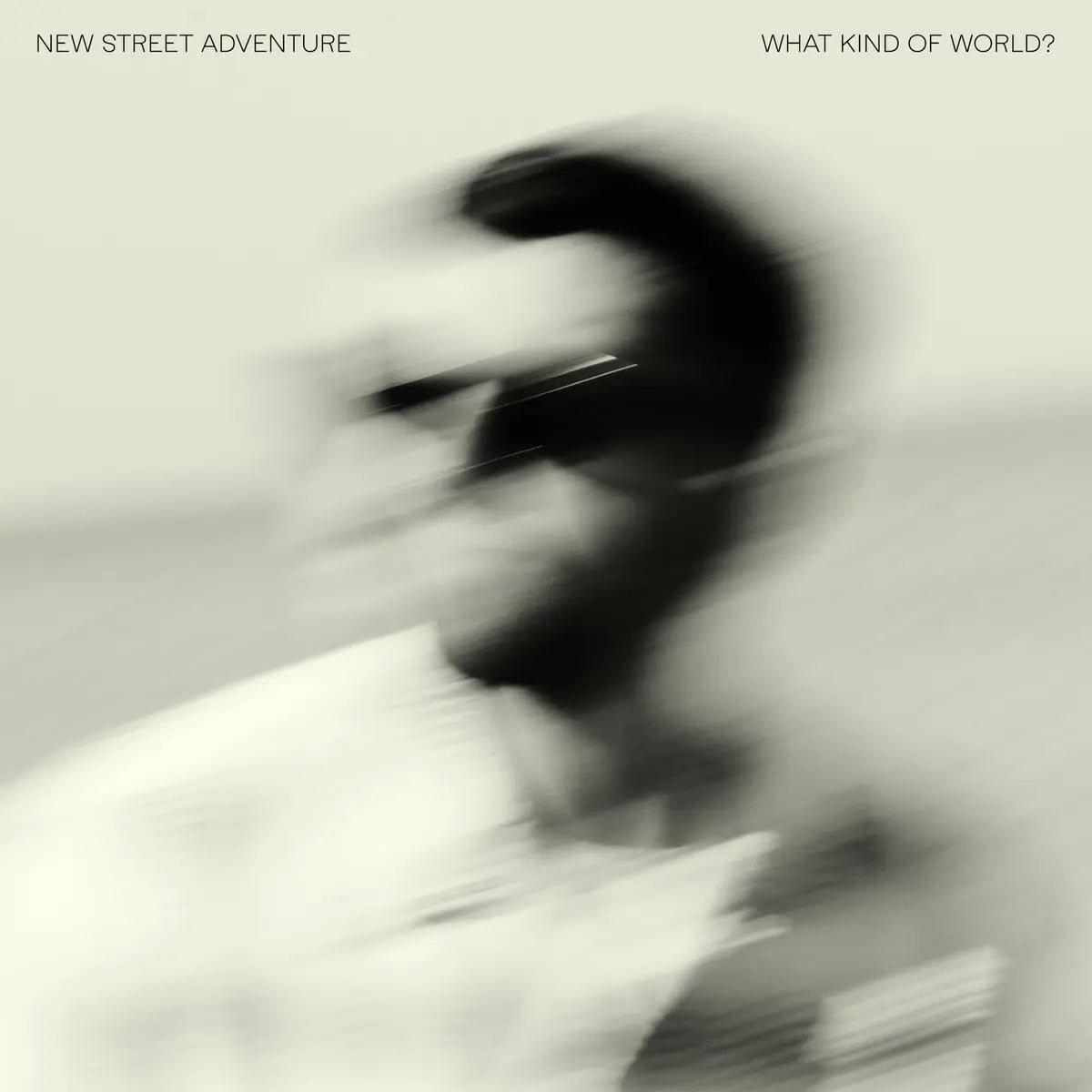 New Street Adventure - What Kind Of World?: Black Vinyl LP