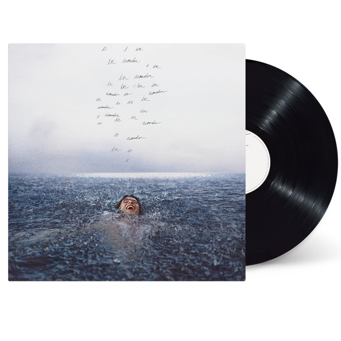 Shawn Mendes - WONDER STANDARD VINYL