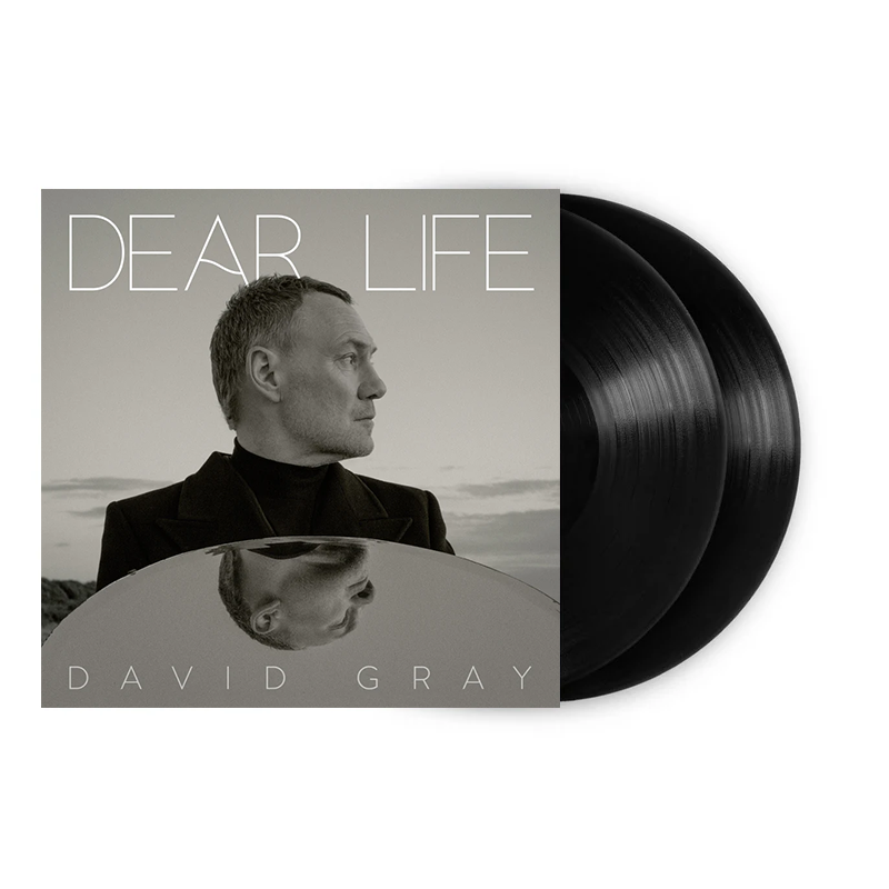 David Gray - Dear Life: Vinyl 2LP