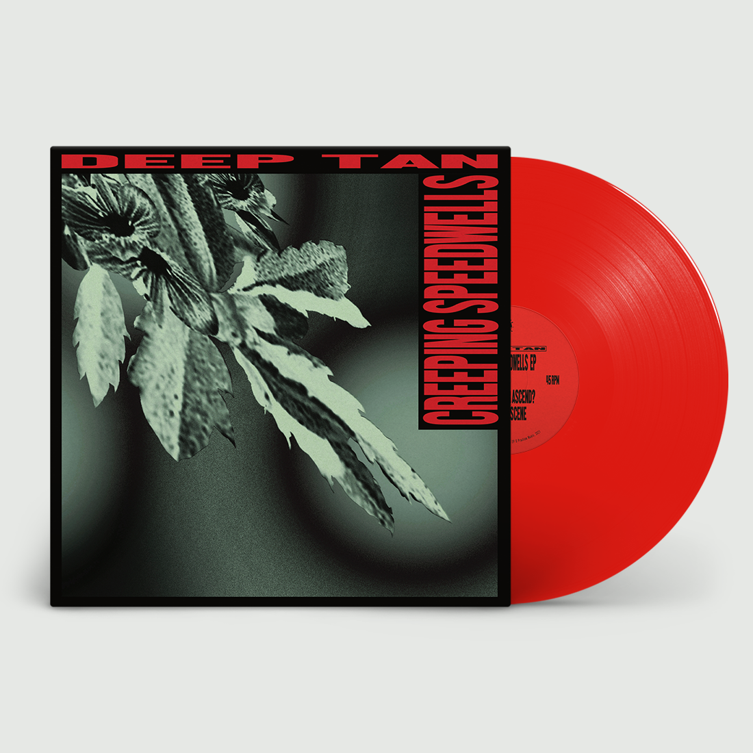 Deep Tan - Creeping Speedwells EP: Signed Exclusive Red Vinyl LP