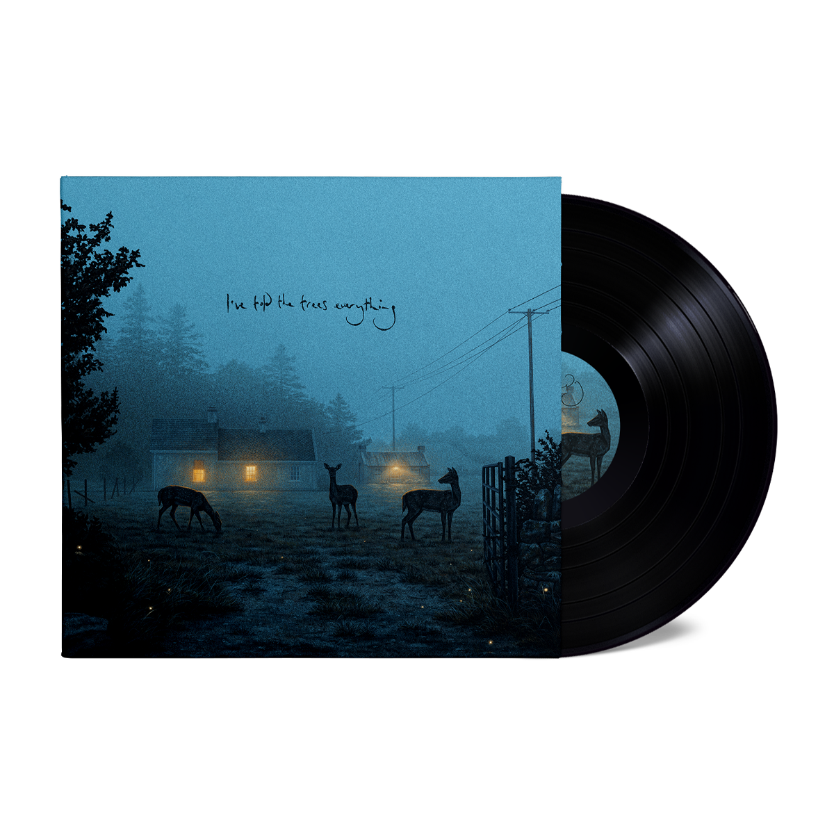 Dermot Kennedy - I've told the trees everything: Midnight Black Vinyl