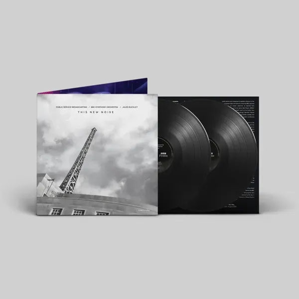 This New Noise: Vinyl 2LP + Exclusive Signed Print