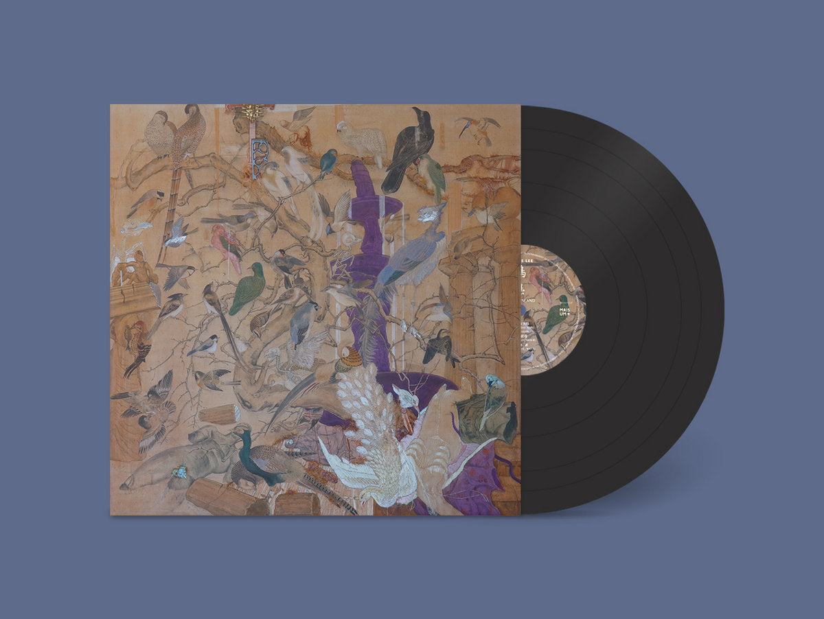 Birdy Island: Vinyl LP