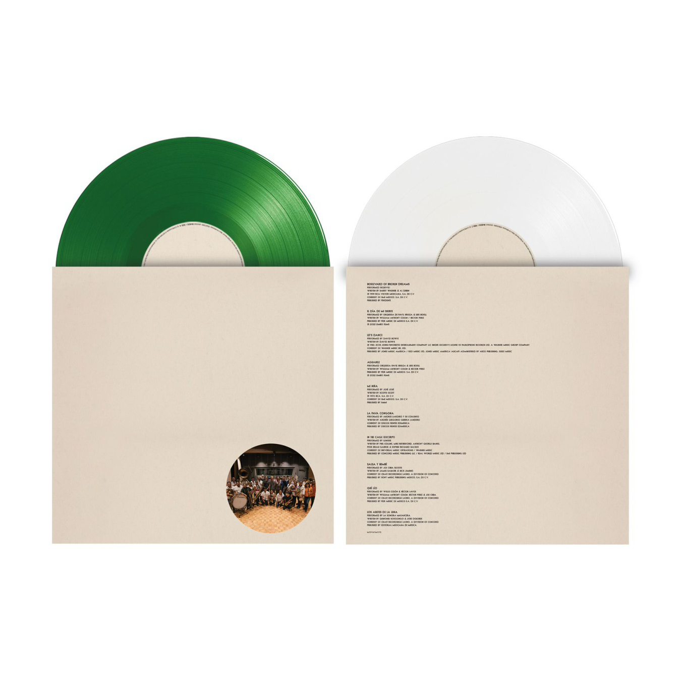 Bryce Dessner (The National) - Bardo (Original Soundtrack): Limited Green + White Vinyl 2LP