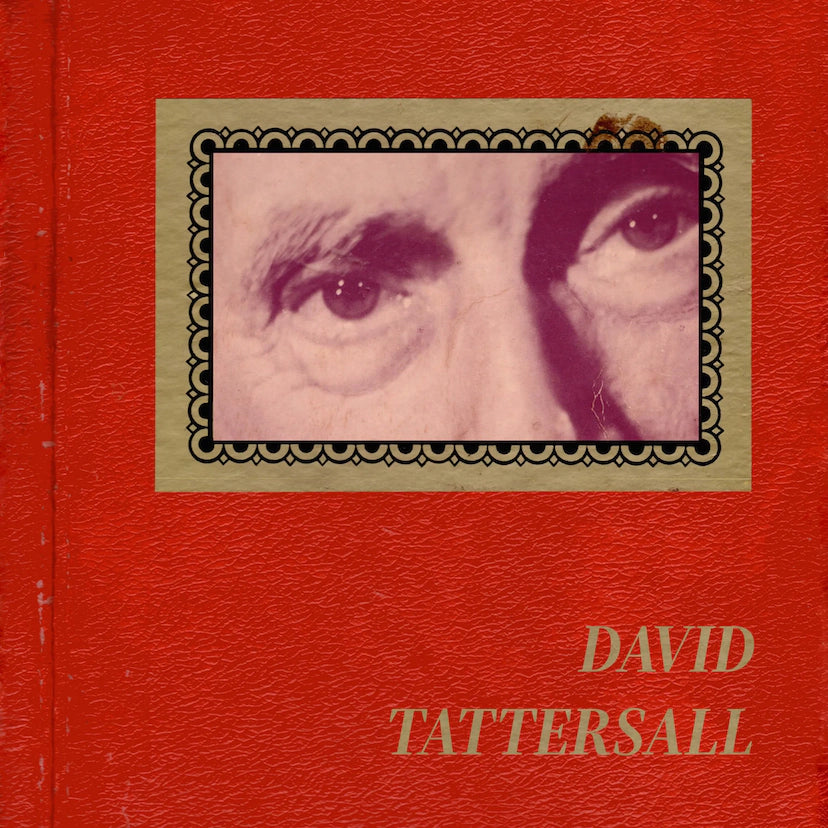 David Tattersall (Wave Pictures) - On The Sunny Side Of The Ocean: Vinyl LP